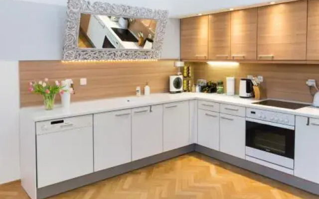 Luxury Apartment Maiselova