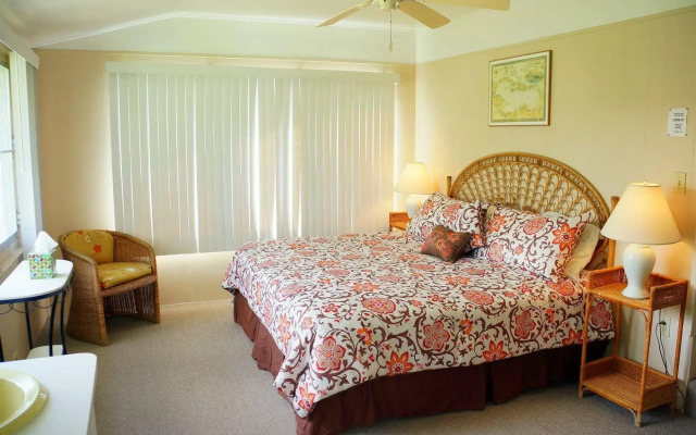 The Horny Toad Guesthouse