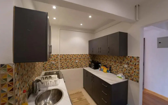Lovely 2 BDR apartment with direct Nile view