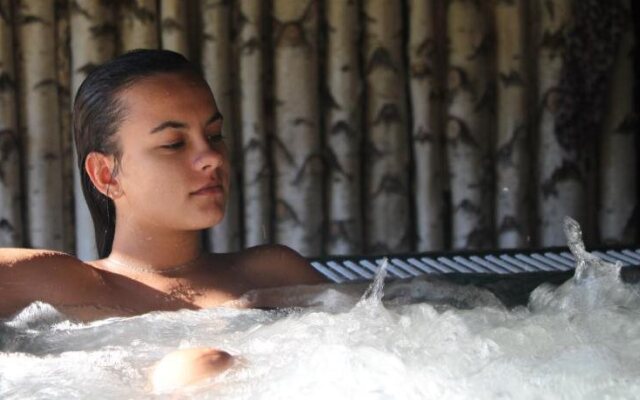 Chalets de l'Eau Verte & Spa