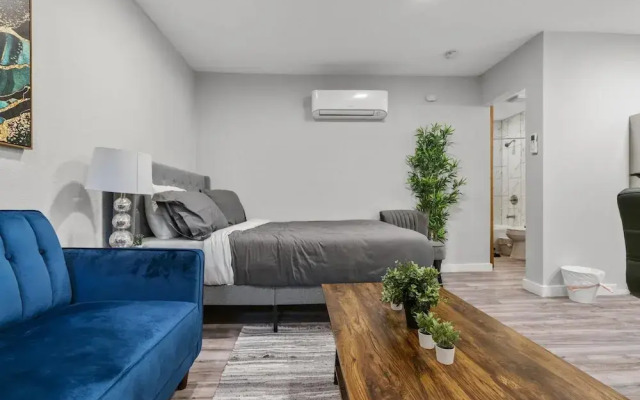 Stylish Studio Downtown Evonify