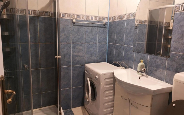 Piata Victoriei Arcul de Triumf Studio Apartment