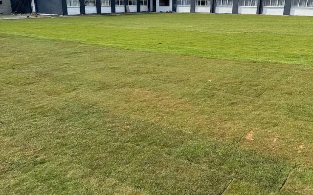 Palms Hotel & Retreat By Palette London Romford