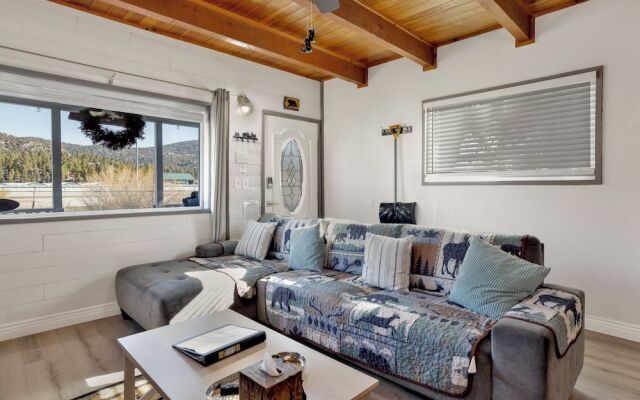 JAY Bird Landing Escape #2308