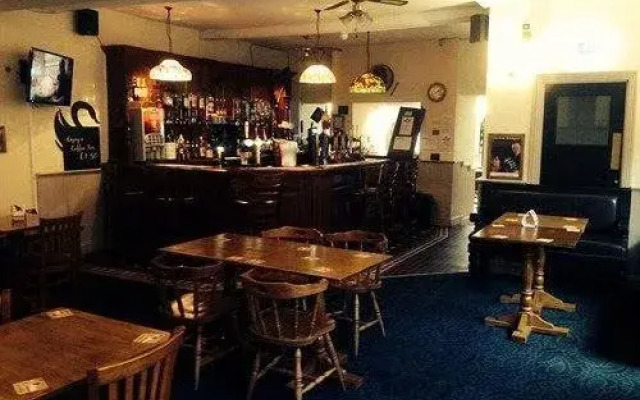 The Swan