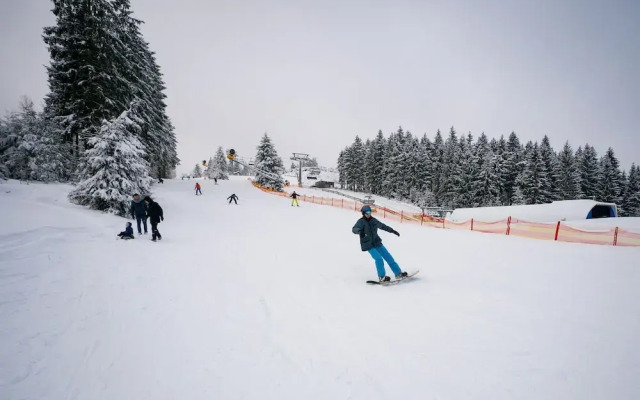 Hotel Hochsauerland by Center Parcs