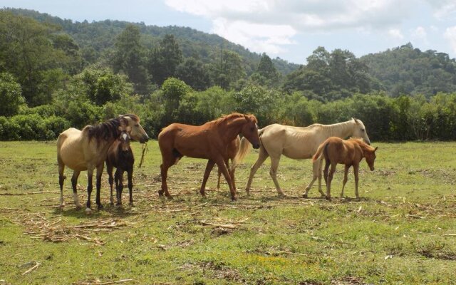 Rancho Hostal La Escondida Eco Park