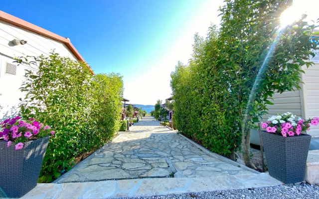 Mobil homes Kamp Maslina, Biograd n/m