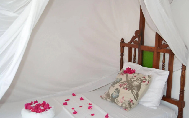 Bliss Beach Lodge
