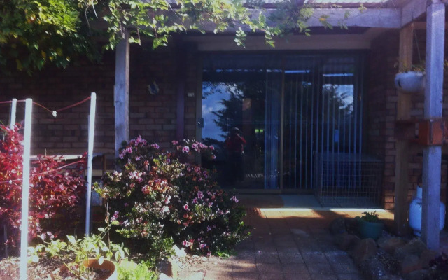 Blueberry B & B