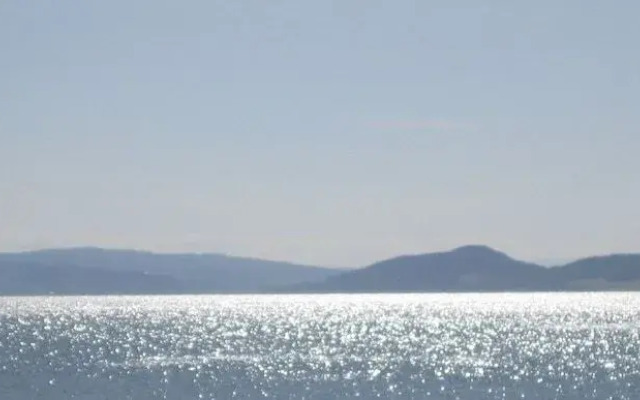 Dolphin Bay Suites