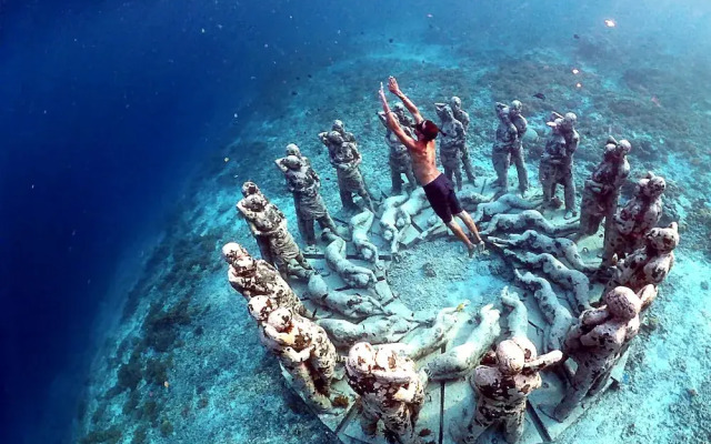 The Rabbit Tree - Hostel