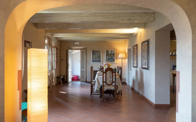 Il Gheppio