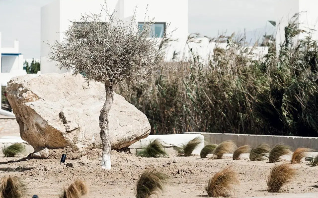 Sundunes Hotel Naxos