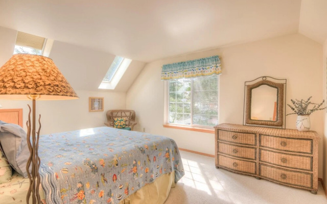 Avas Sunny Delight (MCA 682)