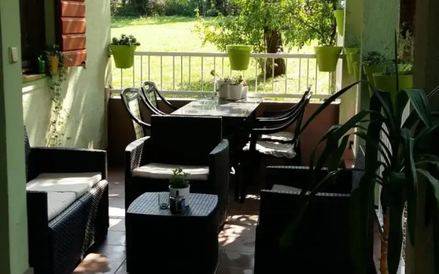 House in center of Gospic with big garden
