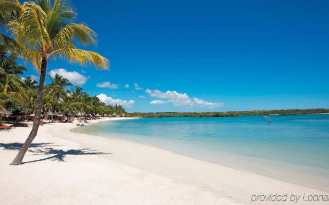 Constance Prince Maurice