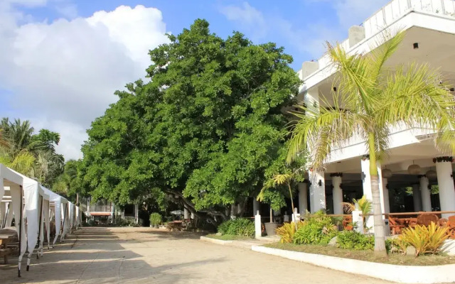 Laiya White Cove Beach Resort