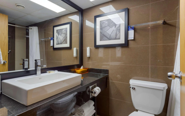 Best Western Plus Village Park Inn