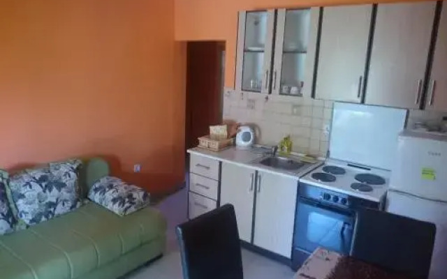 Apartments Olga