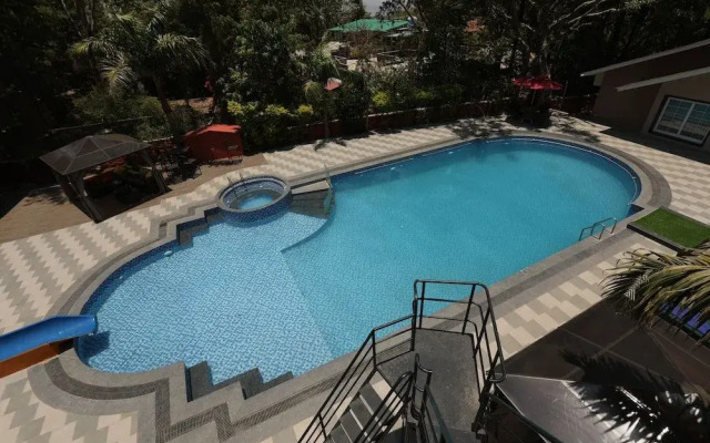 Basilica Rediscover Serenity