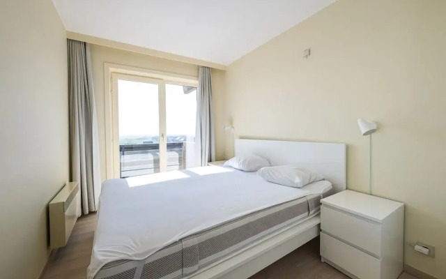 Spacious Apartment With Terrace