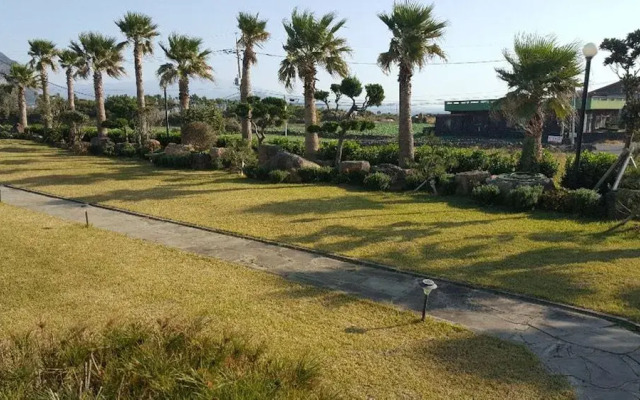 The Freedom - Hostel