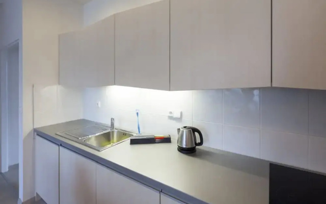 Premier Apartment Wenceslas Square I.