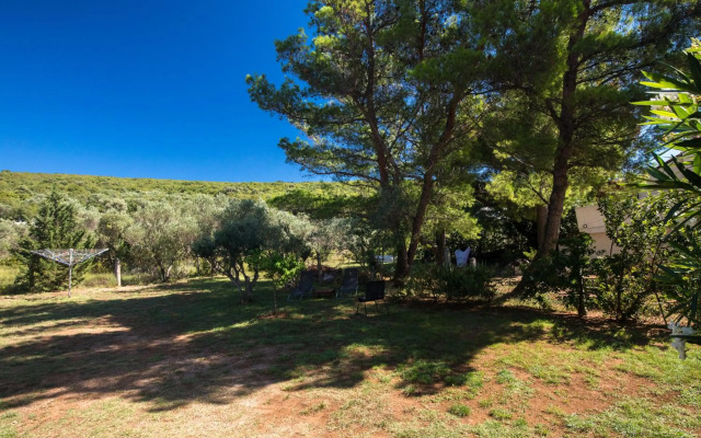 Studio Point of view