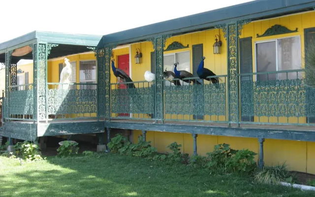 Shady Lady Bed & Breakfast