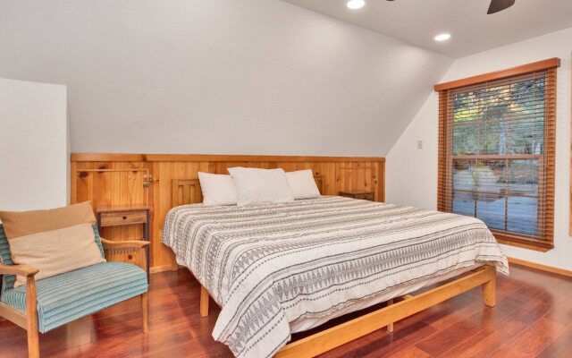 Silvertip Pines #2335