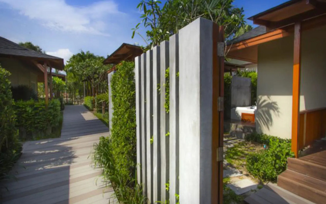 Synergy Samui