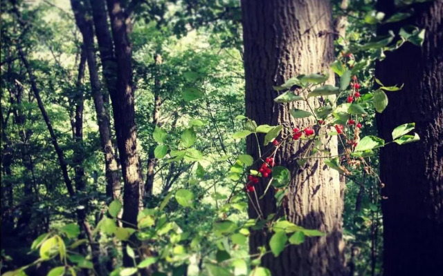 B&B Il Tempo Ritrovato