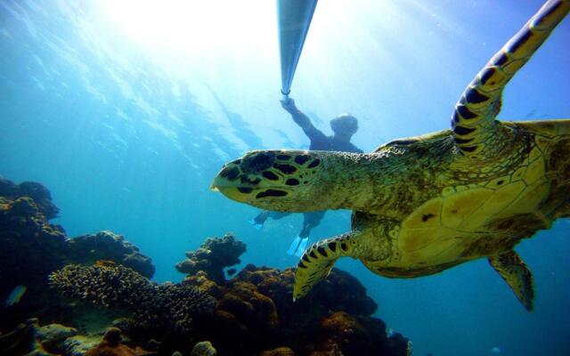 Ravintsara Wellness Hotel