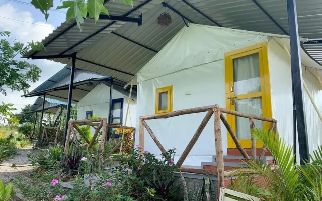 Wilderness Jungle Camp