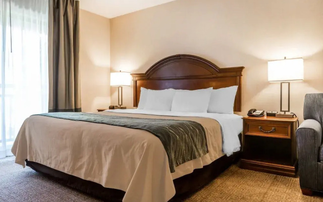 Comfort Inn & Suites