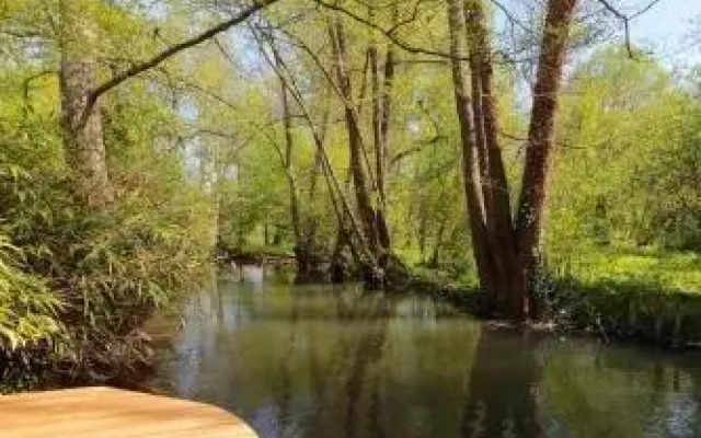Tournesol Chambres dhôtes
