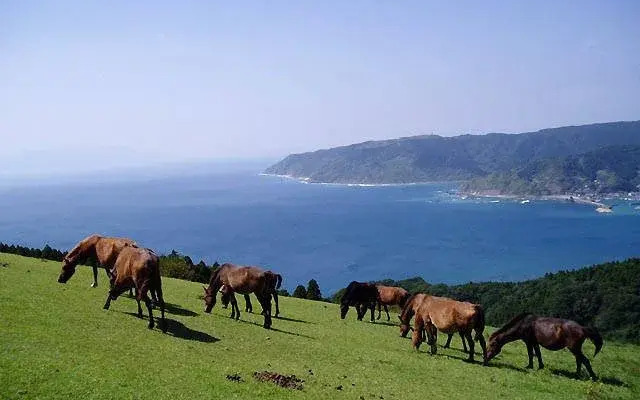 Toimisaki Kokuminshukusha