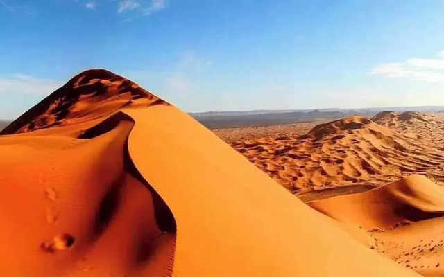 Royal Desert Bivouac