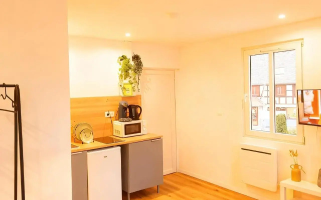 Studio Canal 1 Eckbolsheim