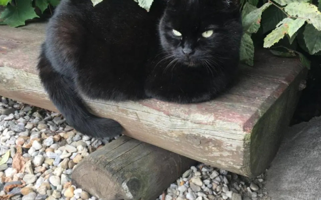 Penzion Na Solné stezce