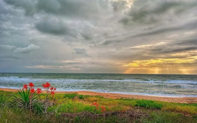 Ocean Sunrise