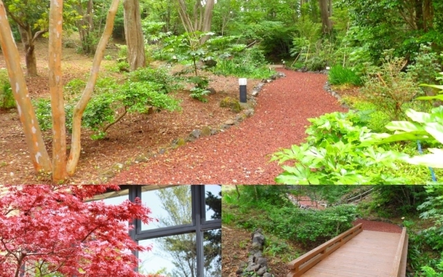 Izu Kogen Hotel Itsutsuboshi