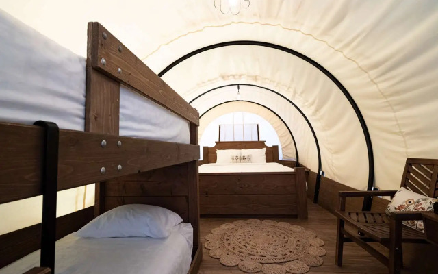 Zion Wildflower, BW Premier Collection