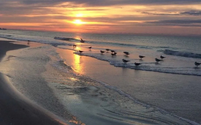 Gulf Shore Condo #407