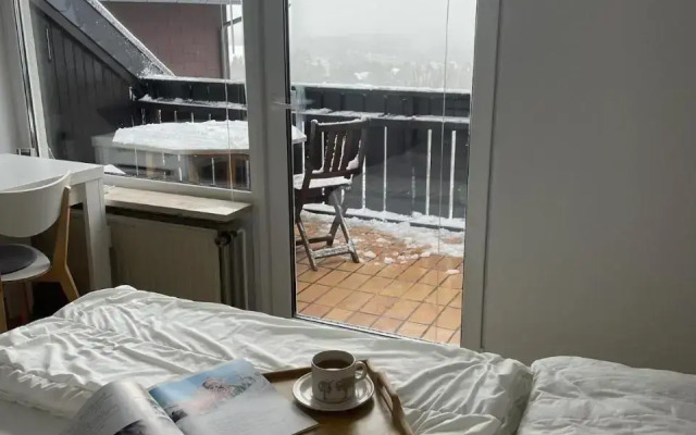 Gemütliche Ferienwohnung Harz Braunlage Hohegeiß