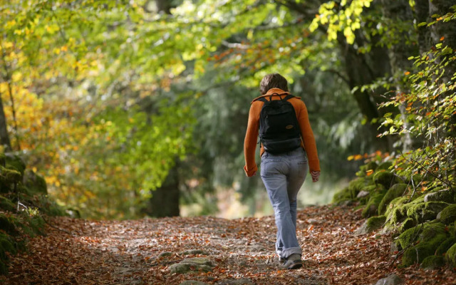 Le Logis de Sèchemailles