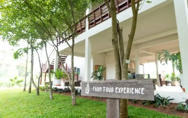 Green Me Organic Farm Khao Yai
