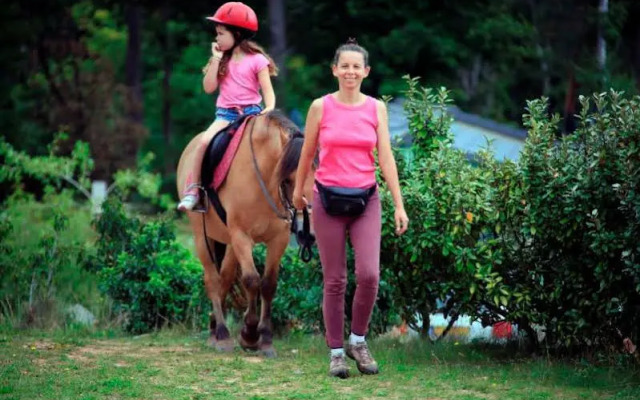 Les Hameaux De Miel - Terres de France
