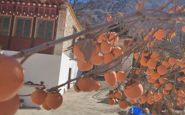 Gaodi Zangjia Homestay (Middle Zang Village Branch) – Outside – Danba